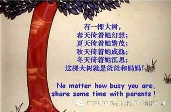 樹(shù)就是我們的父母！請(qǐng)愛(ài)護(hù)你們身邊的這棵樹(shù)！