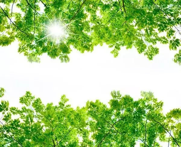 人生實(shí)苦,但請你足夠相信!